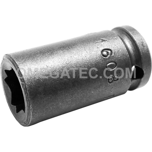 1608-D Apex Brand 1/4'' 8-Point Double Square Nut Standard Impact Socket, 1/4'' Square Drive